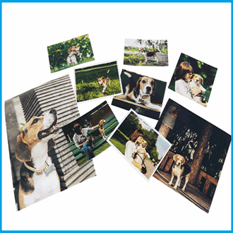 Welcome to Abhishek Xerox